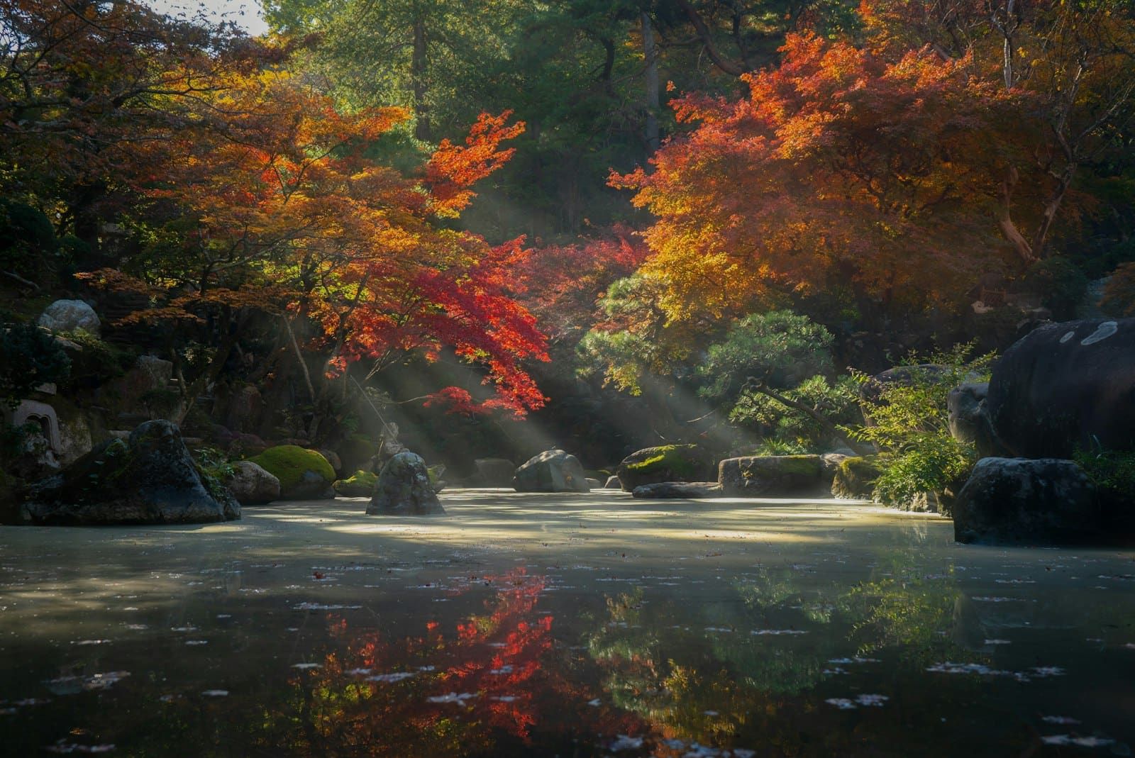 A peaceful nature scene to evoke calm and focus