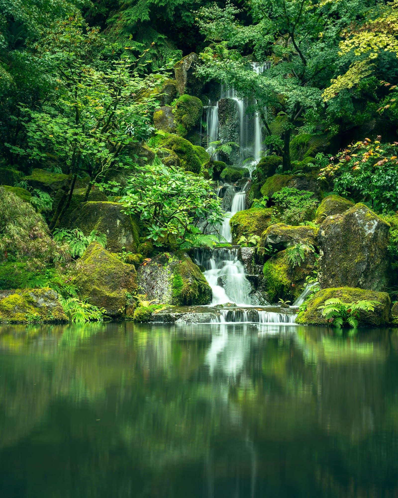 A peaceful nature scene, the kind of mood ambient music creates